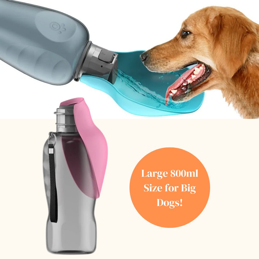 800ml Portable Dog Water Bottle For Big Dogs - Cool Gear Pro