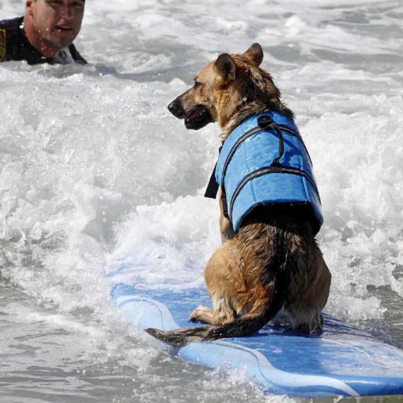 Dog Water Safety Vest