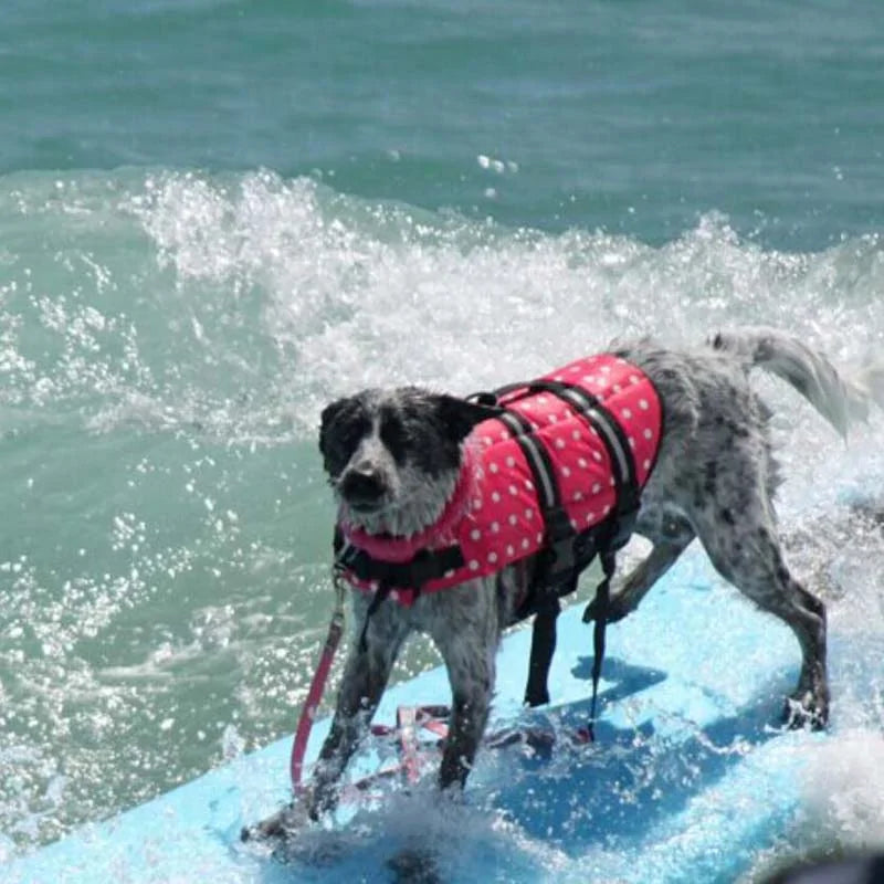 Dog Swim Vest