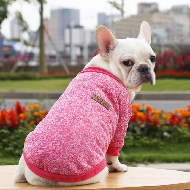 Classic Warm Dog Sweater