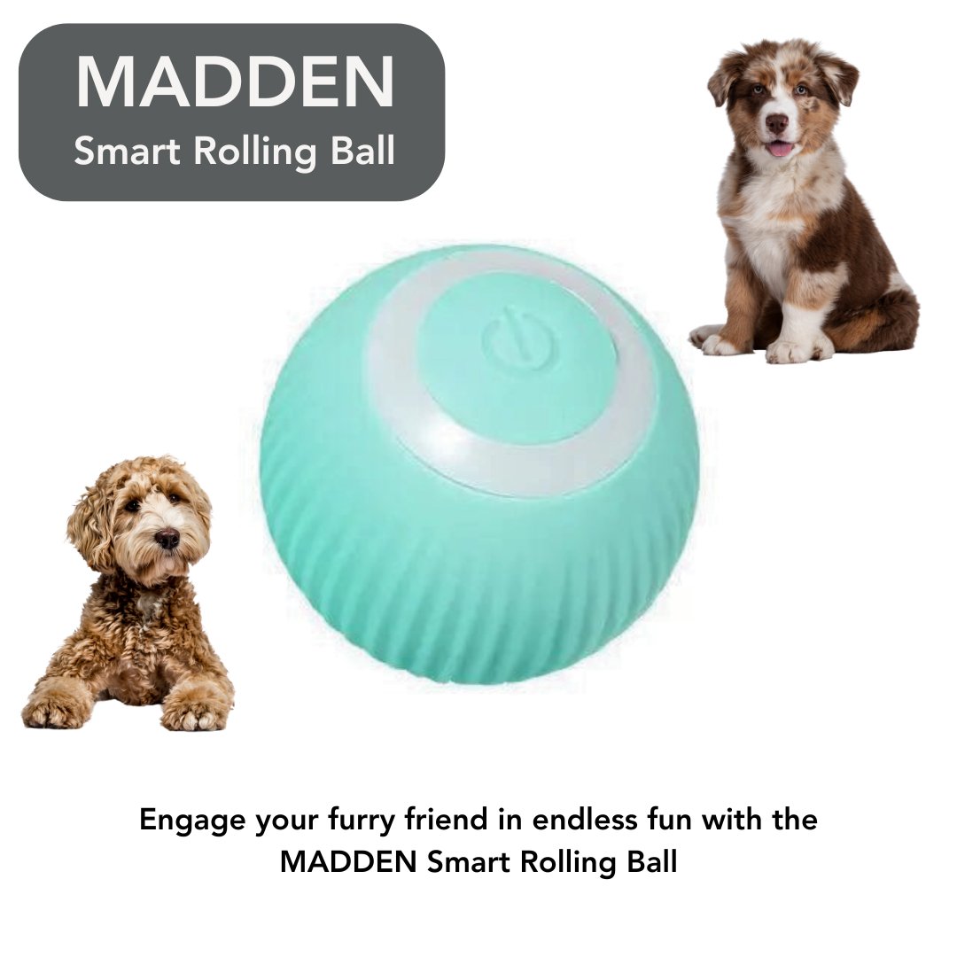 Amazing Dog Toy Bundle - Cool Gear Pro