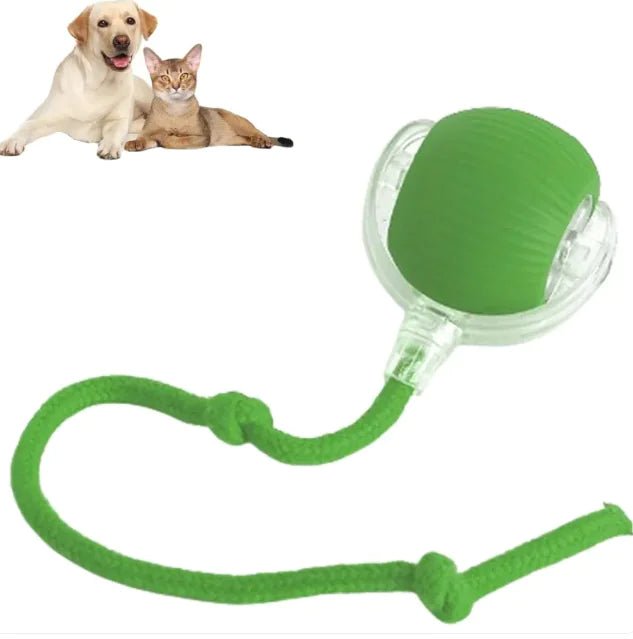 Automatic Rolling Ball Toy For Dogs & Cats - Cool Gear Pro