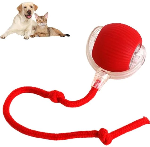 Automatic Rolling Ball Toy For Dogs & Cats - Cool Gear Pro