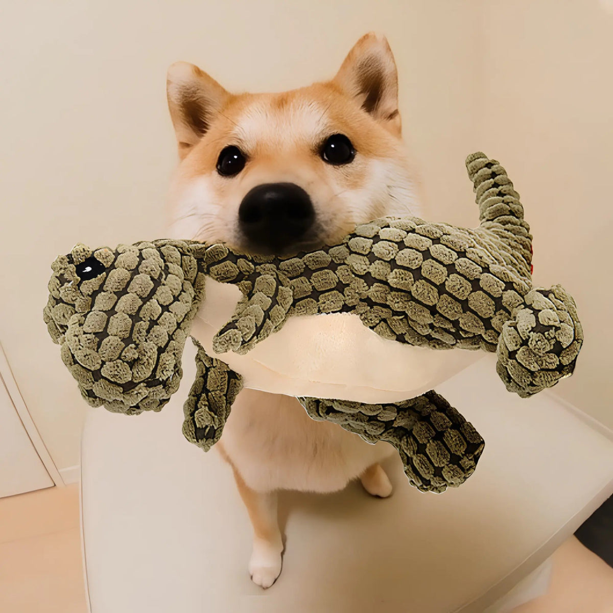 Dinosaur Dog Toys - Cool Gear Pro