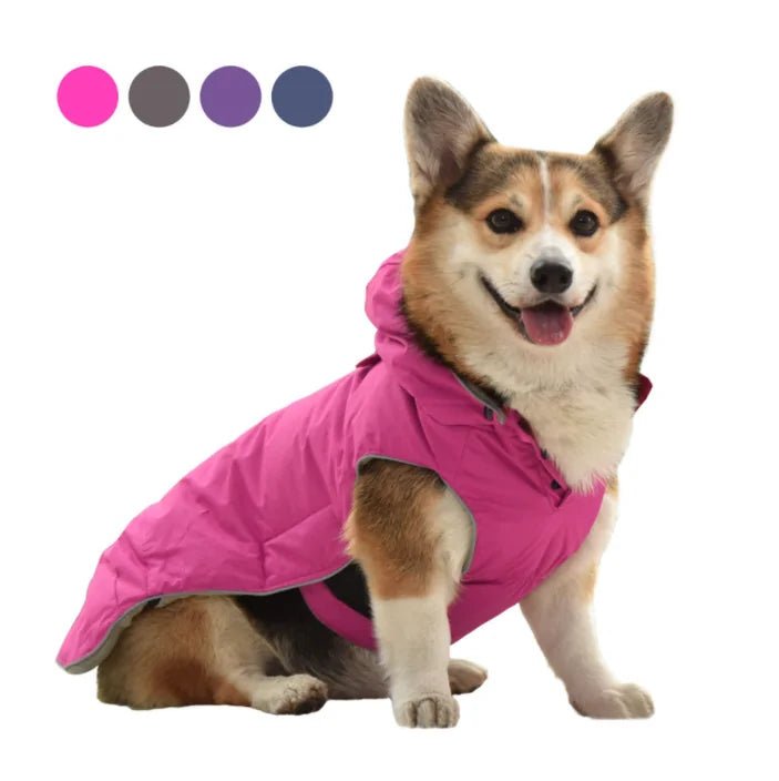 Dog Coat Winter Jacket - Cool Gear Pro