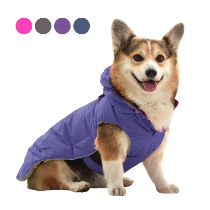 Dog Coat Winter Jacket - Cool Gear Pro