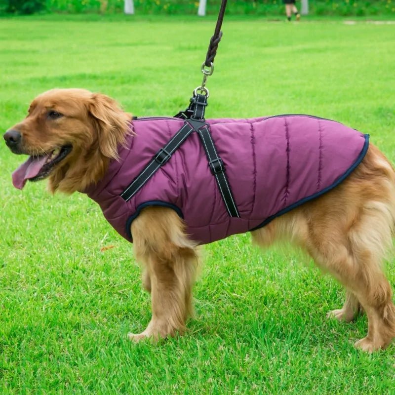 Dog Coat With Harness - Cool Gear Pro