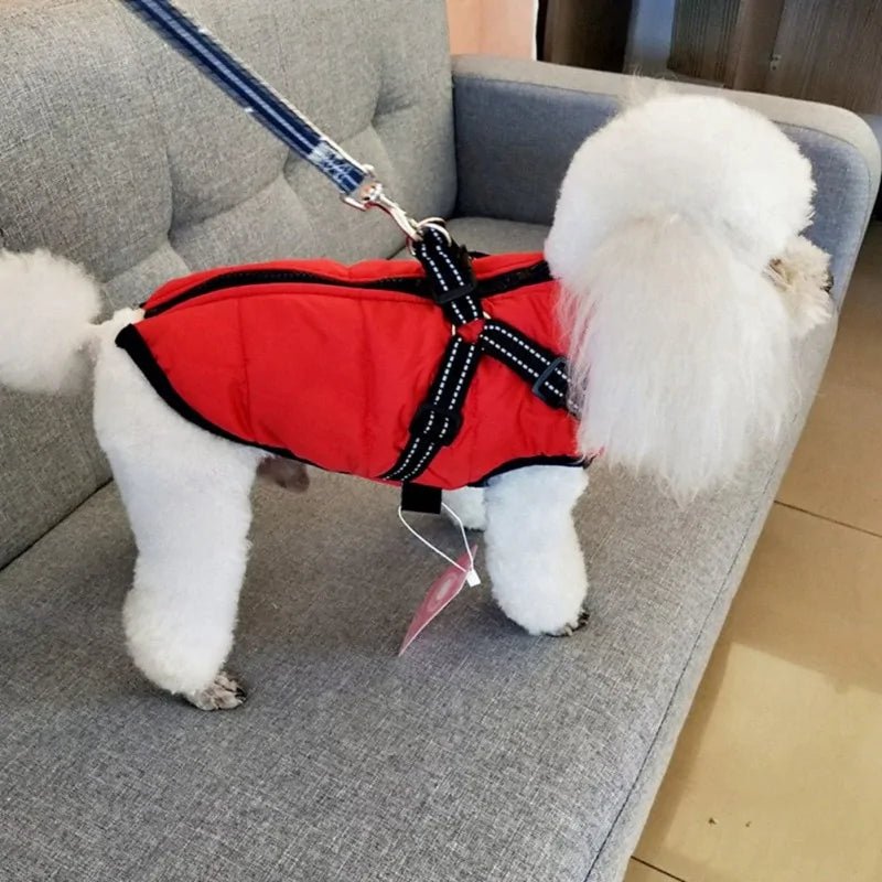 Dog Coat With Harness - Cool Gear Pro