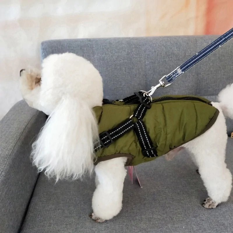 Dog Coat With Harness - Cool Gear Pro