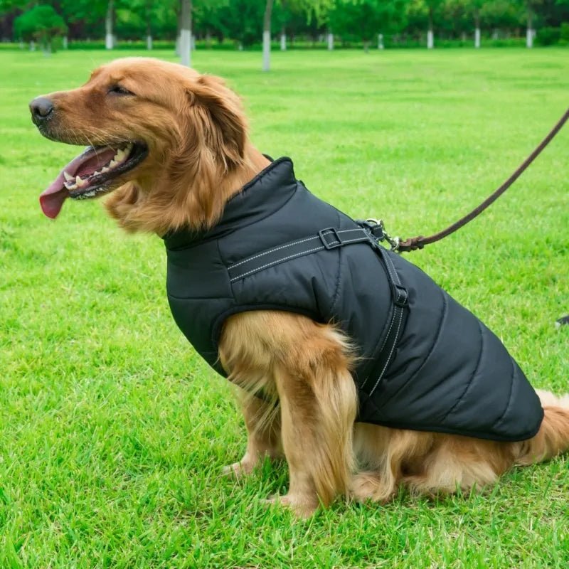 Dog Coat With Harness - Cool Gear Pro