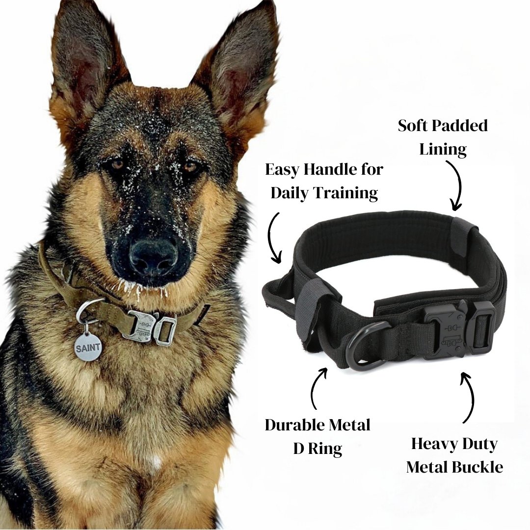 Dog Collar - Cool Gear Pro