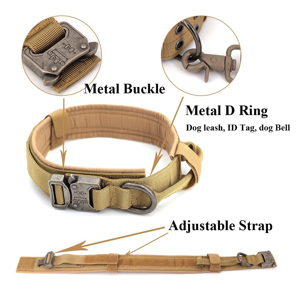 Adjustable Dog Collar