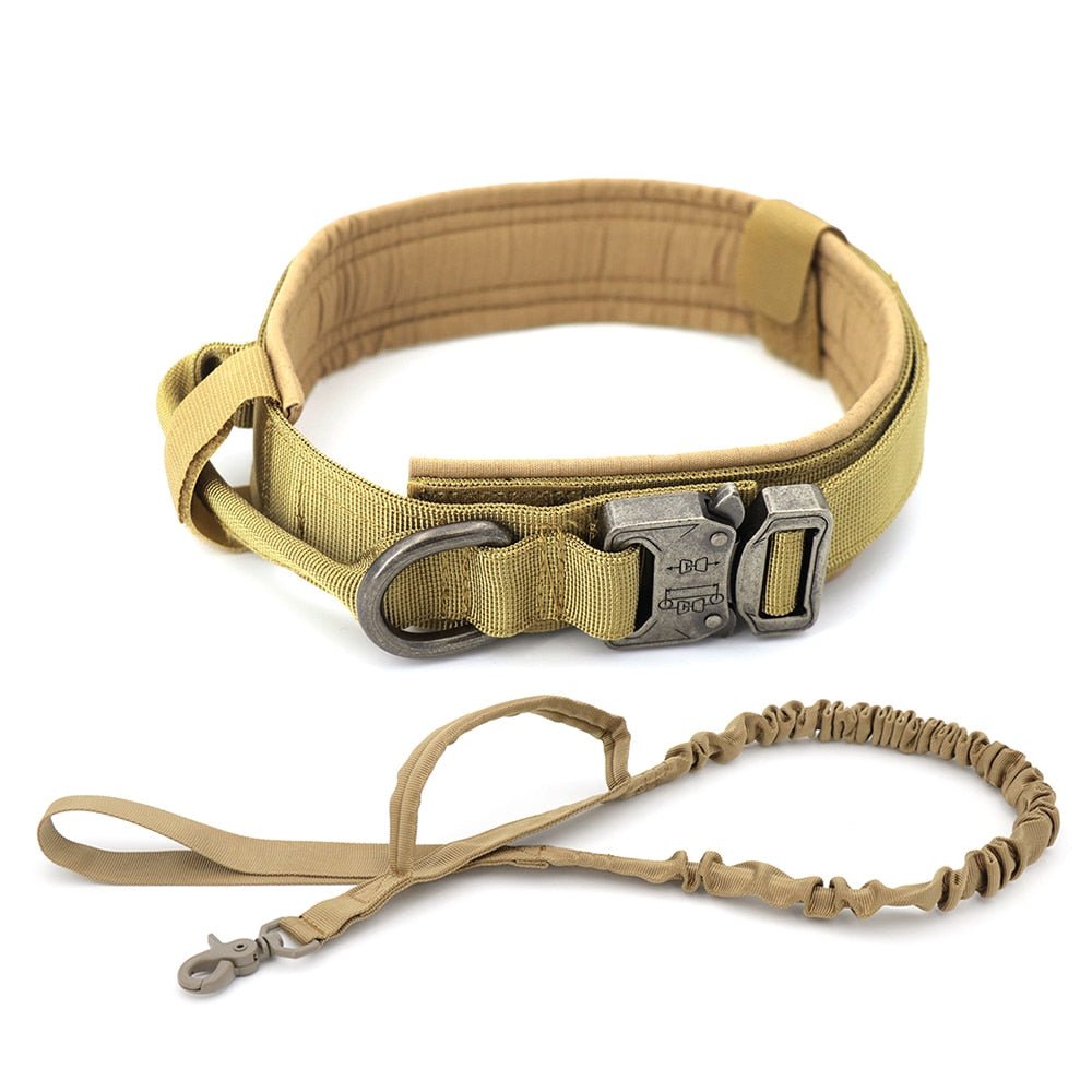 Dog Collar - Cool Gear Pro