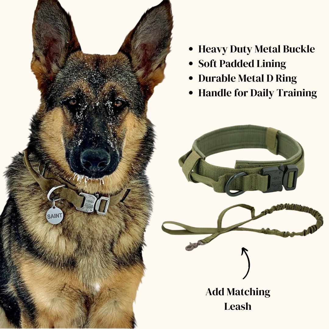 Dog Collar - Cool Gear Pro