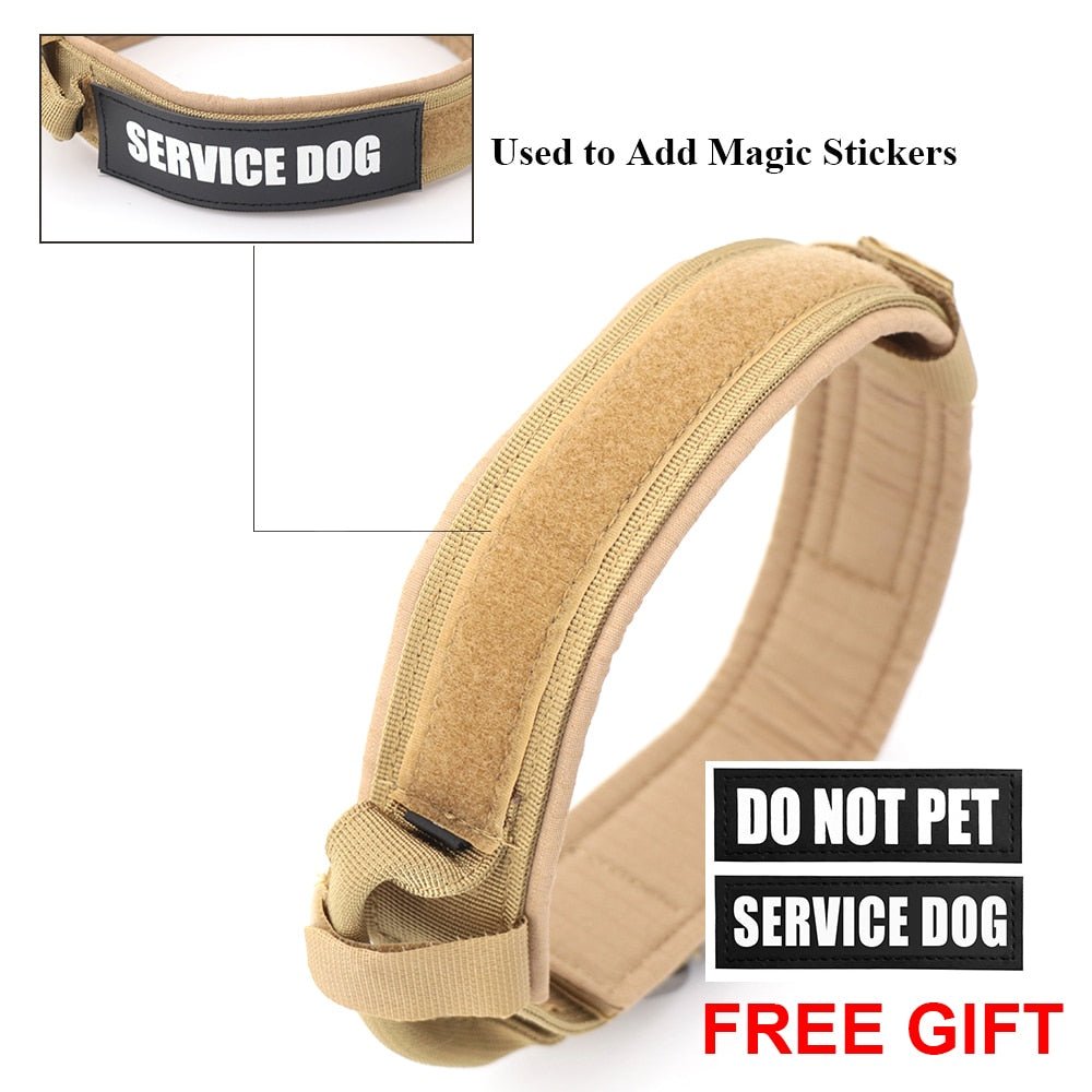 Pet Collar