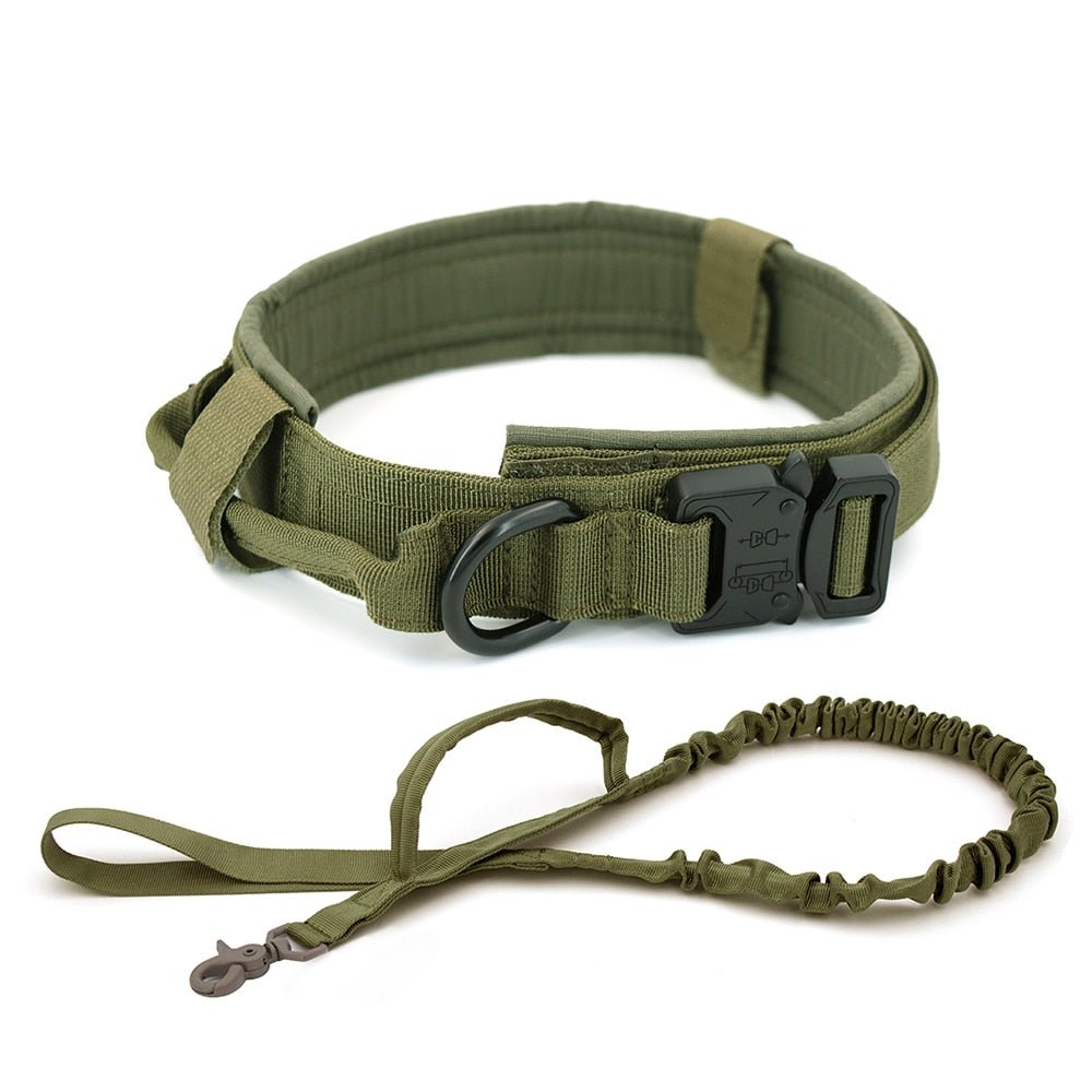 Dog Collar - Cool Gear Pro