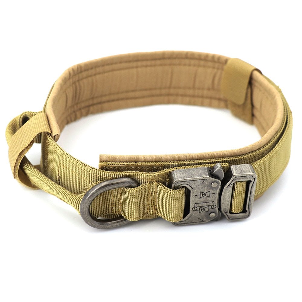 Dog Collar - Cool Gear Pro