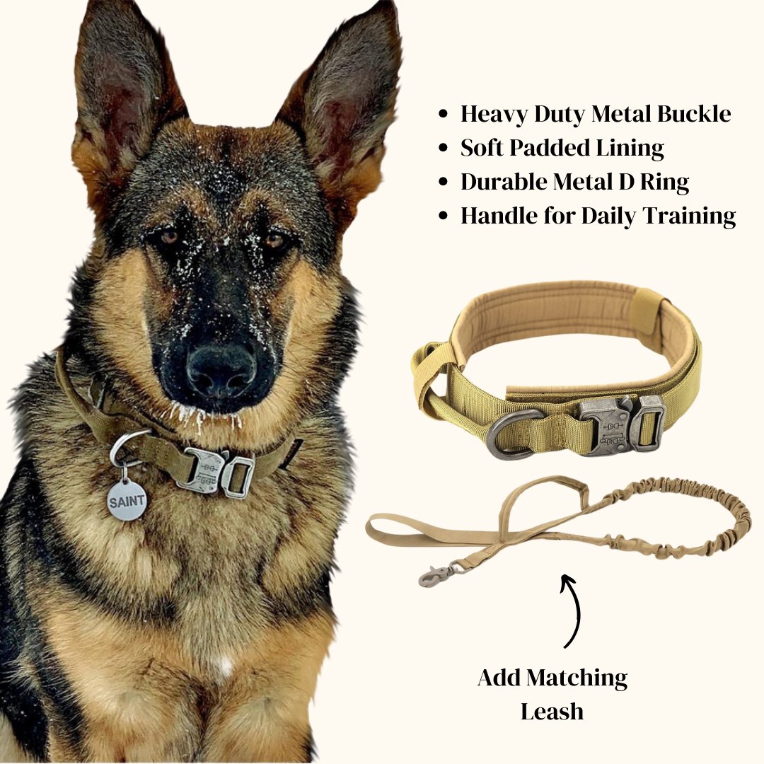 Dog Collar - Cool Gear Pro