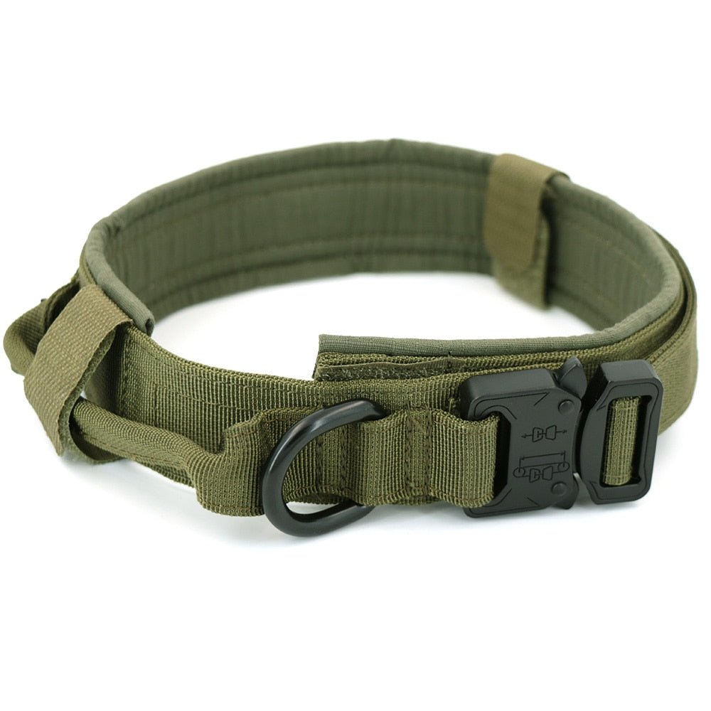 Dog Collar - Cool Gear Pro