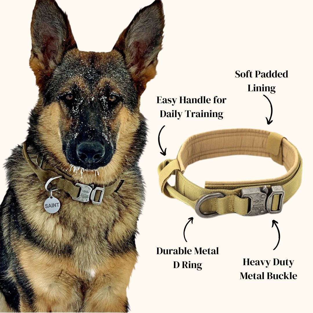 Dog Collar - Cool Gear Pro