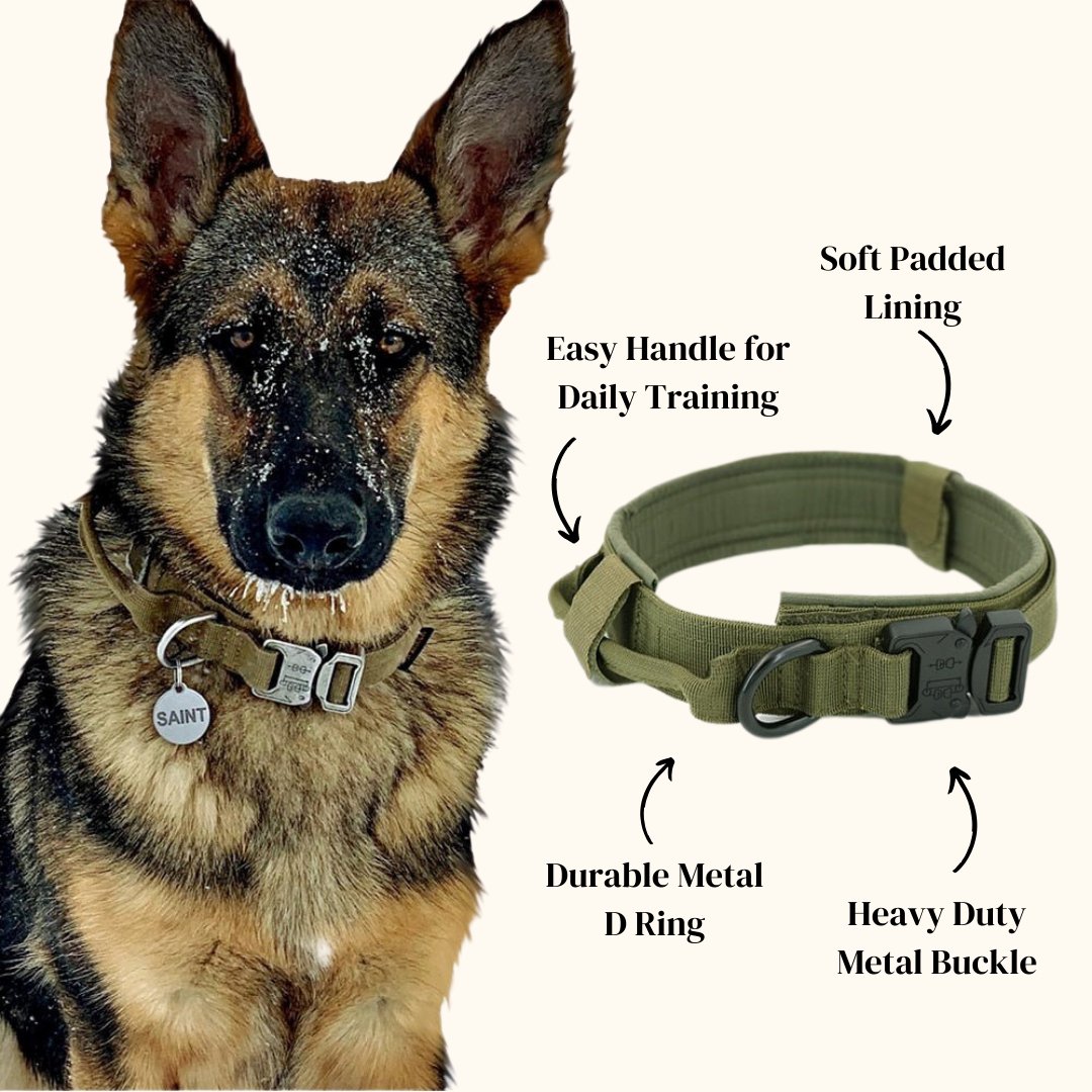 Dog Collar - Cool Gear Pro