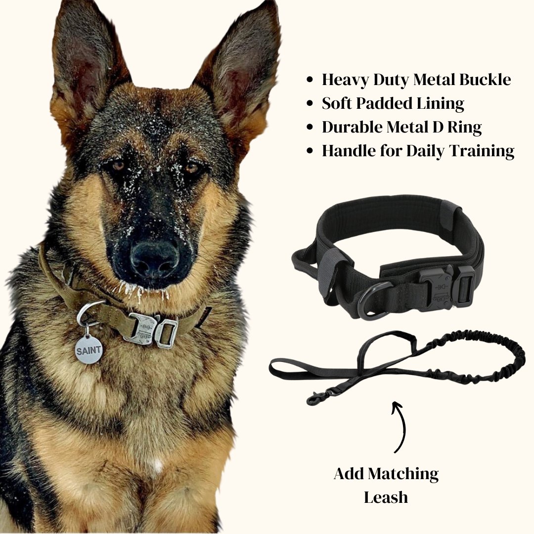 Dog Collar - Cool Gear Pro