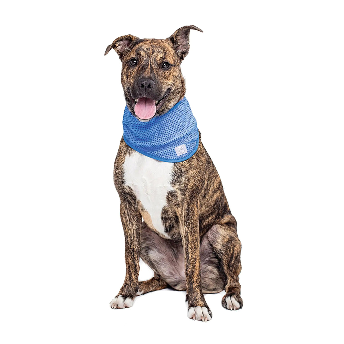 Dog Cooling Bandana - Cool Gear Pro