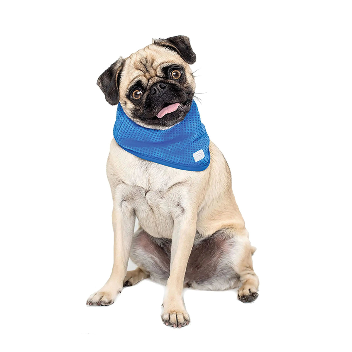 Dog Cooling Bandana - Cool Gear Pro