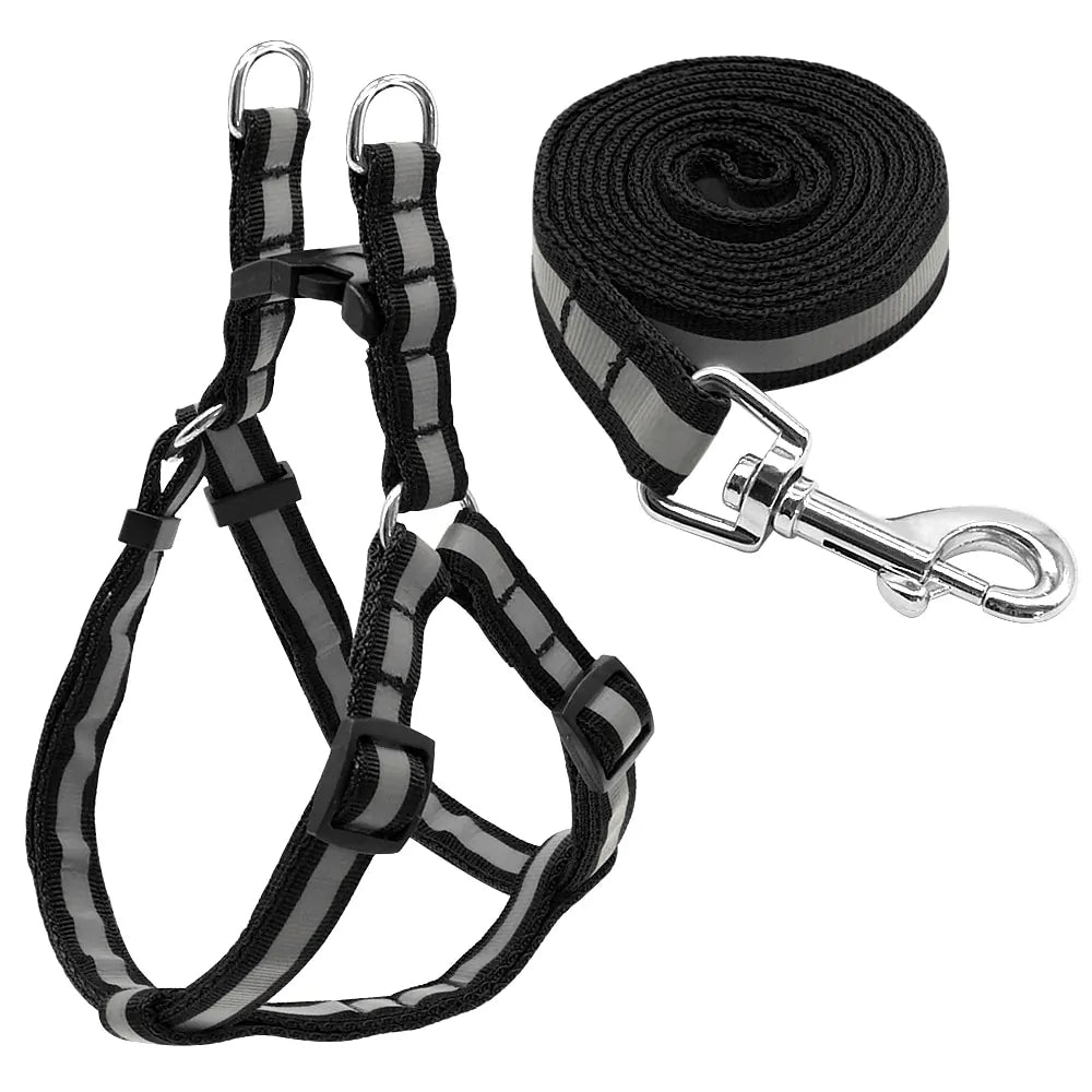 Dog Leash Set - Cool Gear Pro