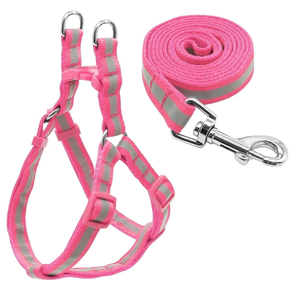 Dog Leash Set - Cool Gear Pro