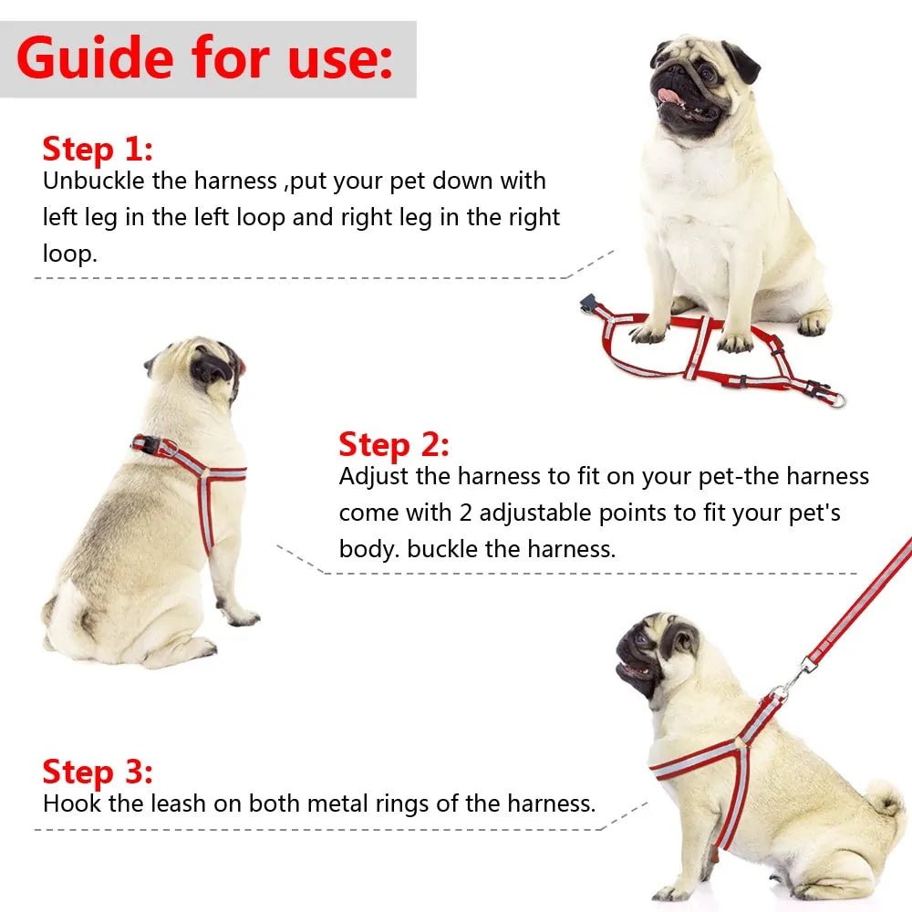 Dog Leash Set - Cool Gear Pro