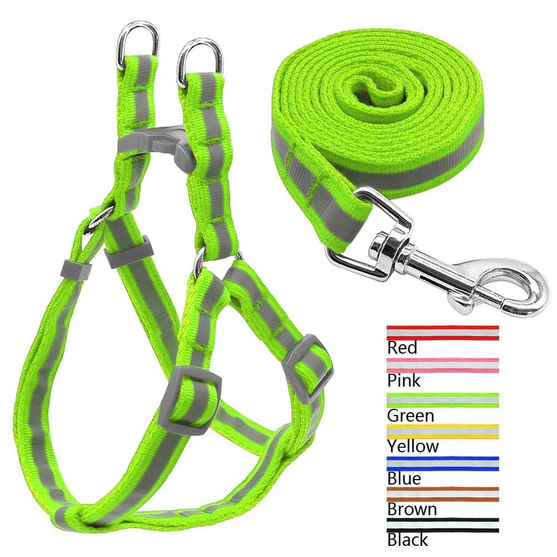 Dog Leash Set - Cool Gear Pro