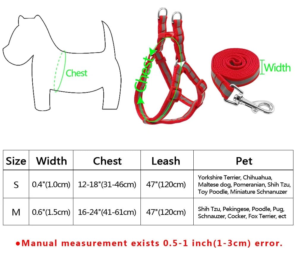 Dog Leash Set - Cool Gear Pro