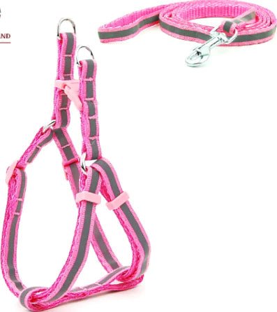 Dog Leash Set - Cool Gear Pro