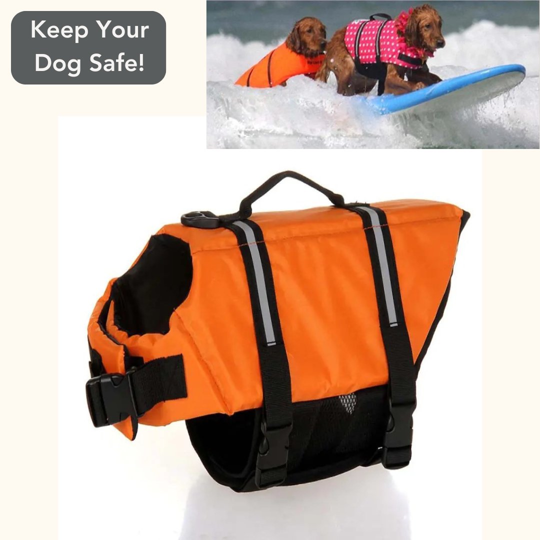 Dog Life Vest - Cool Gear Pro