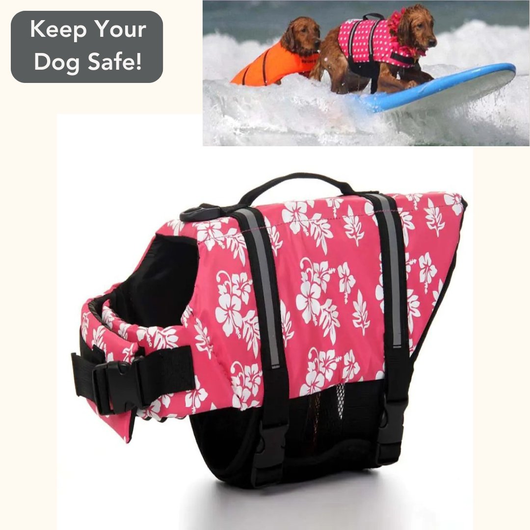 Dog Life Vest - Cool Gear Pro