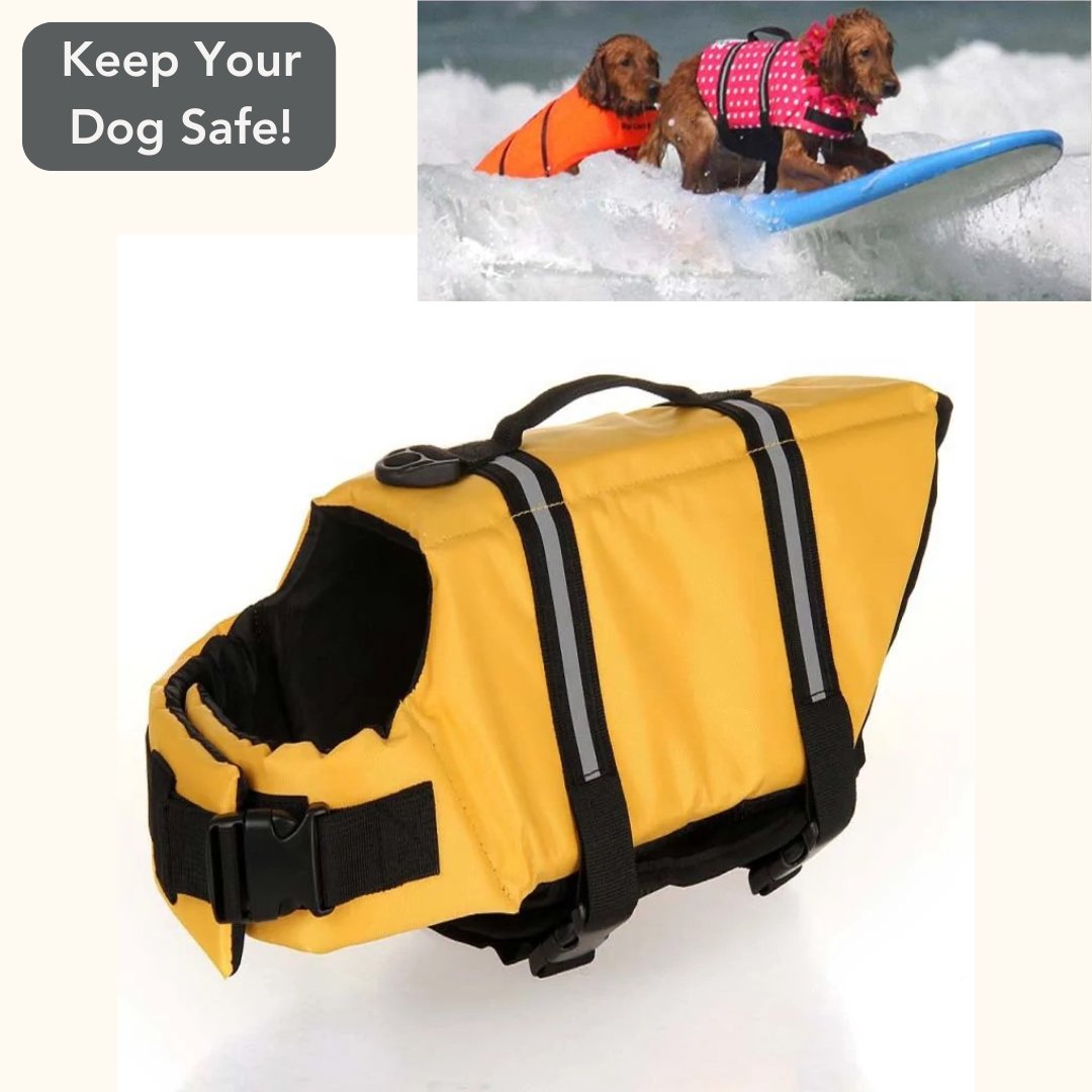 Dog Life Vest - Cool Gear Pro