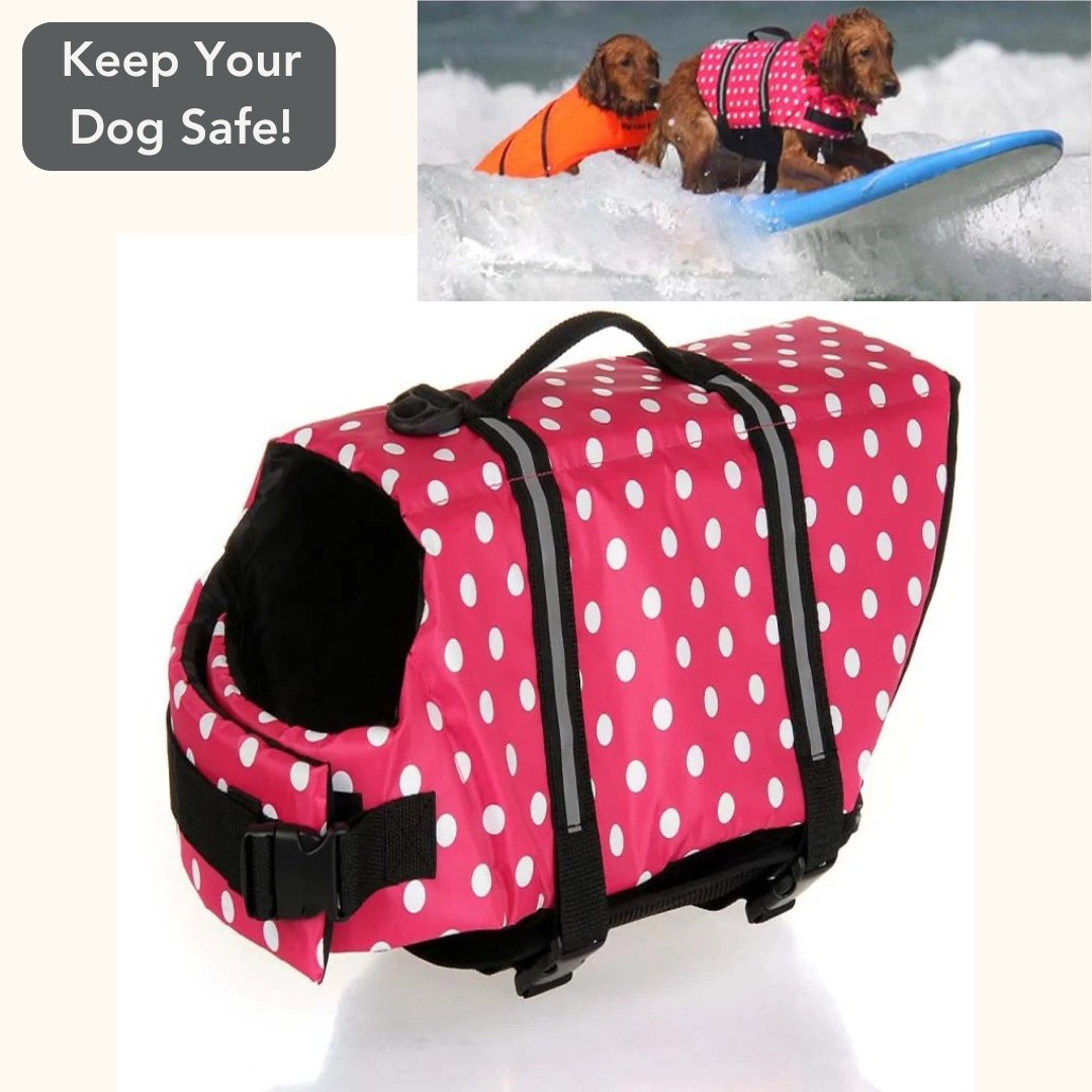 Dog Life Vest - Cool Gear Pro