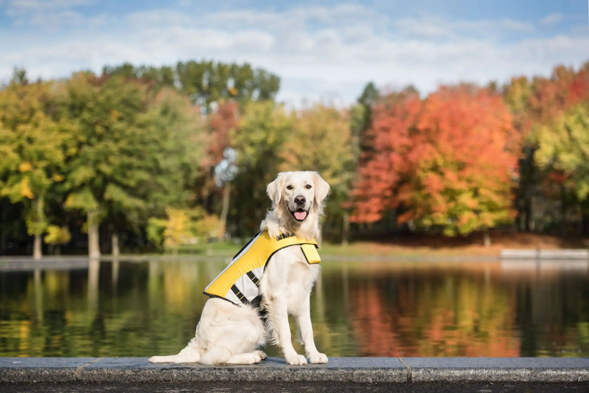 Dog Flotation Jacket