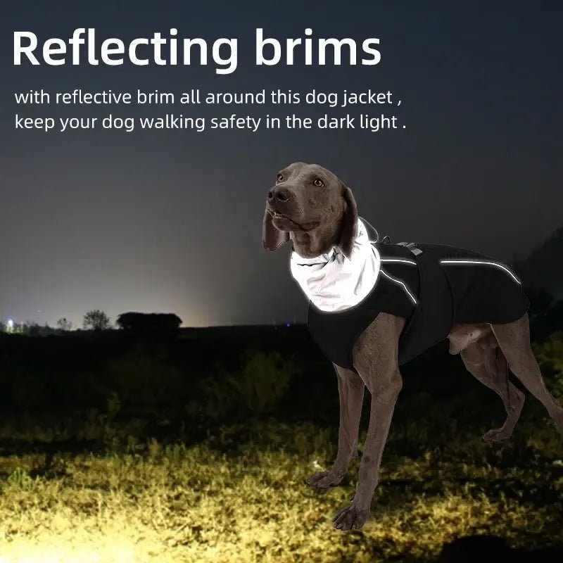 Dog Luxury Winter Jacket - Cool Gear Pro