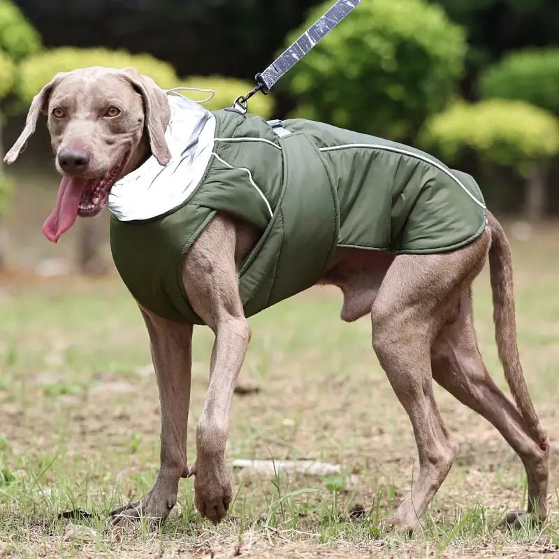 Dog Luxury Winter Jacket - Cool Gear Pro