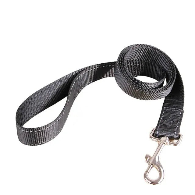 Dog Rectractable Leash - Cool Gear Pro