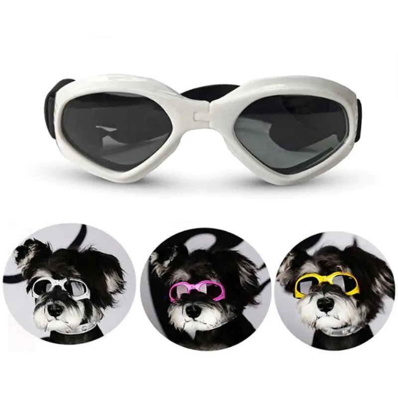 Dog Sunglasses - Cool Gear Pro