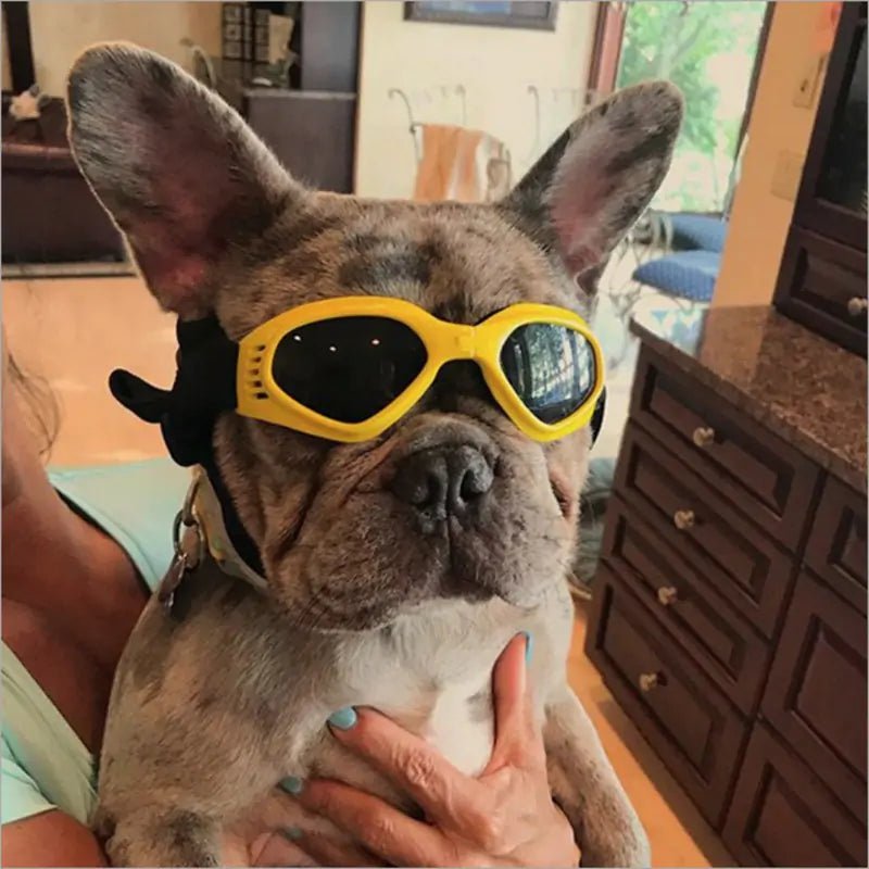 Dog Sunglasses - Cool Gear Pro