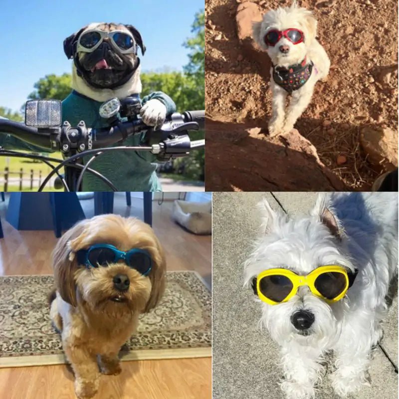 Dog Sunglasses - Cool Gear Pro