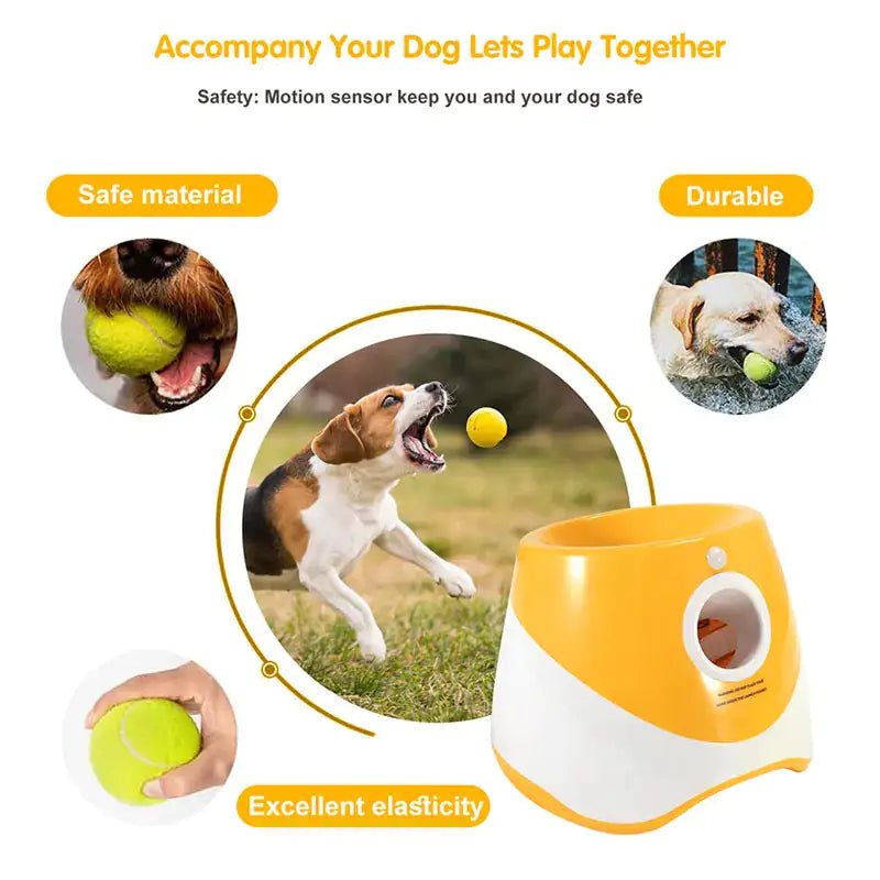 Interactive Dog Launcher