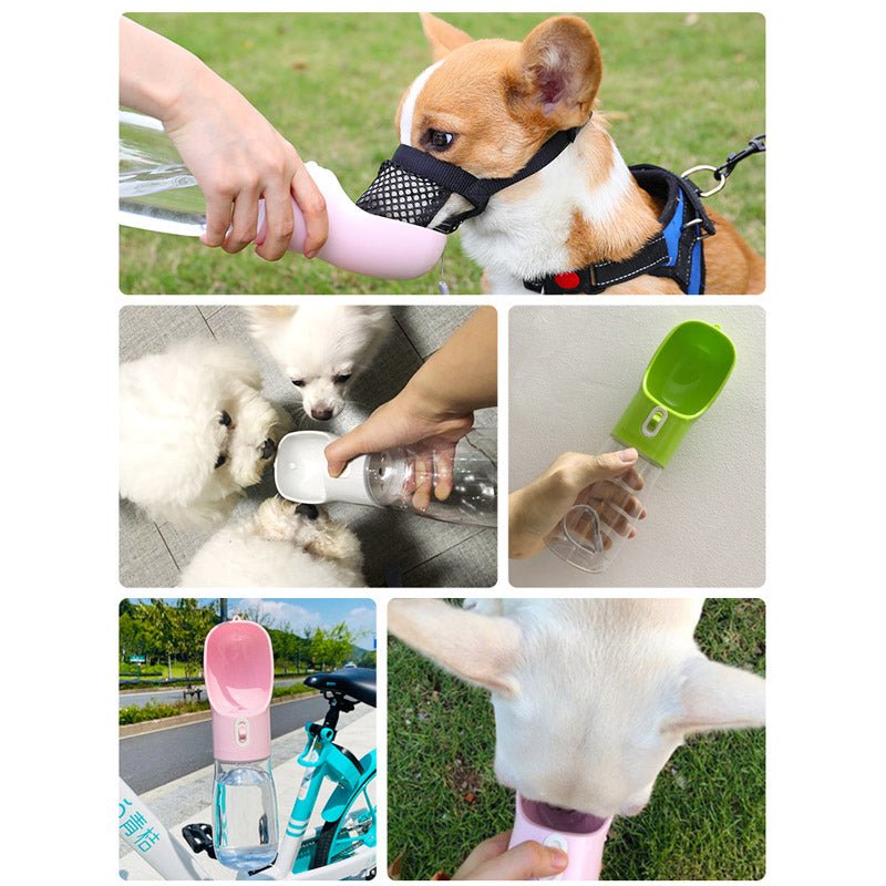 Dog Water Bottle Feeder - Cool Gear Pro