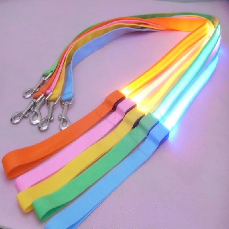 Glow In Dark Dog Leash - Cool Gear Pro