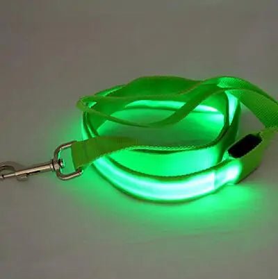 Glow In Dark Dog Leash - Cool Gear Pro