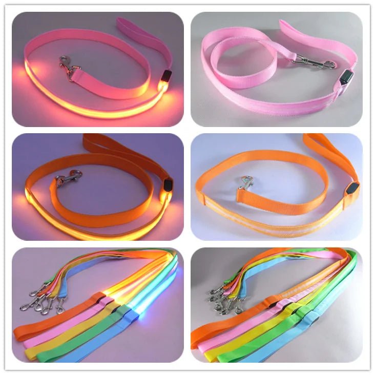 Glow In Dark Dog Leash - Cool Gear Pro